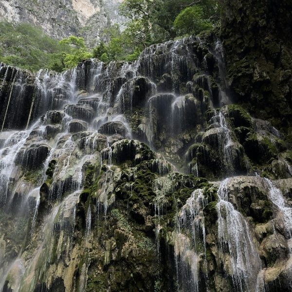 Grutas Tolantongo waterfall in a forest in the daylight in Mexico